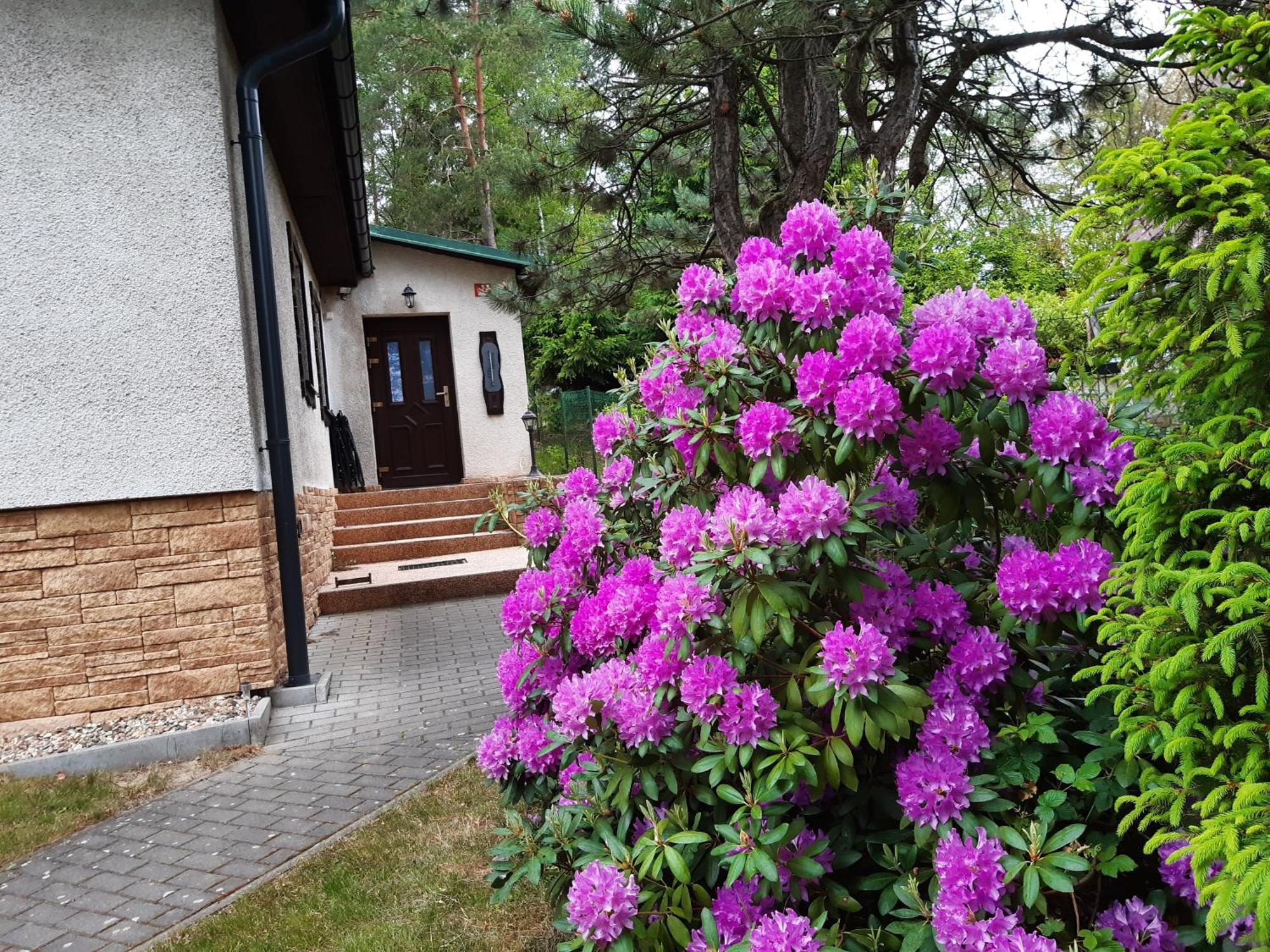 Chata Rynartice 7 Jetrichovice  Exterior photo